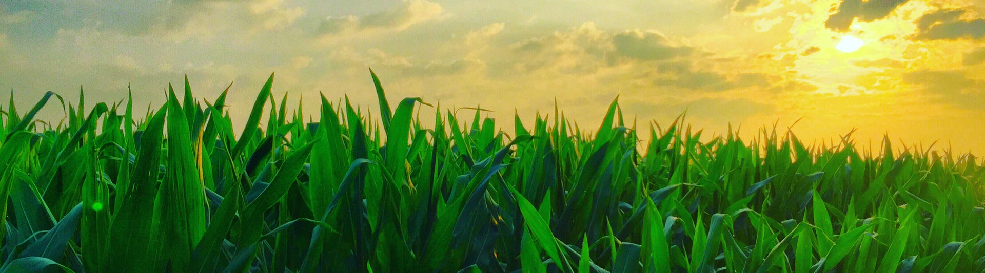 Maryland Agricultural Helicopter Services